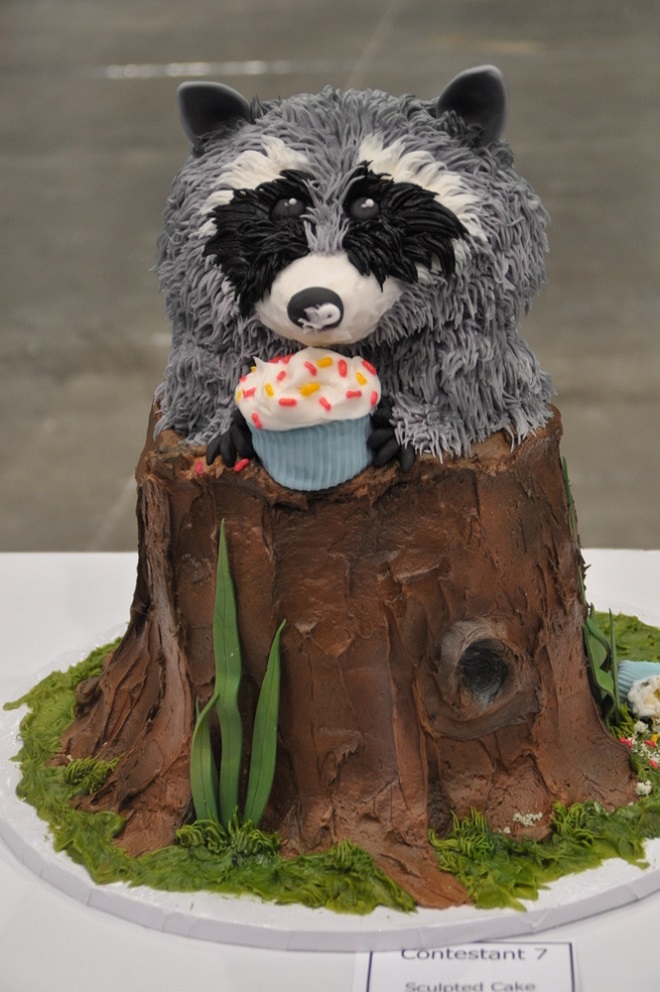 Raccoon Birthday Cake