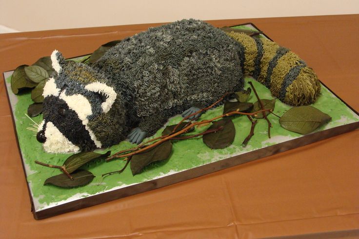 Raccoon Birthday Cake