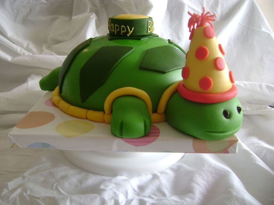 Turtle Birthday Cake