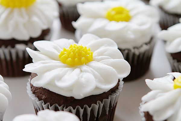 Buttercream Daisy Cupcakes