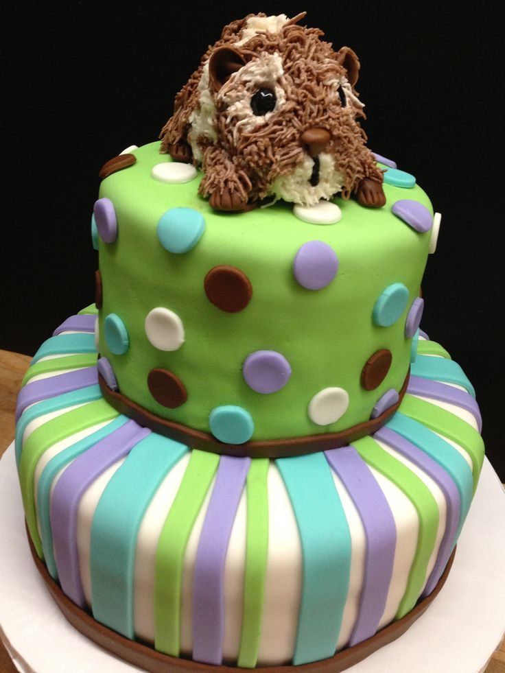 Guinea Pig Birthday Cake