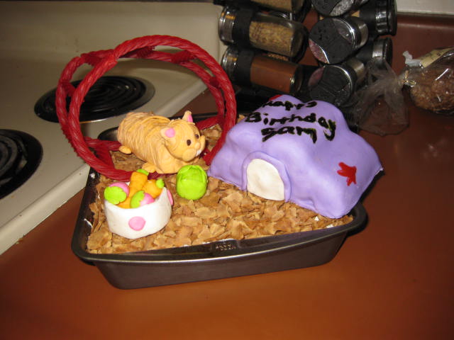 Hamster Birthday Cake