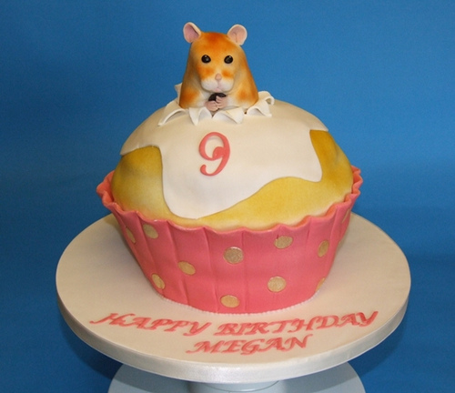 Hamster Cake