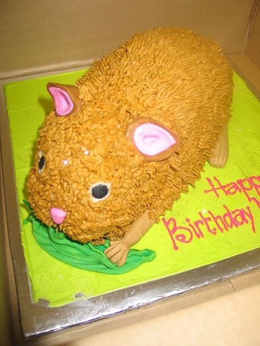 Hamster Cake