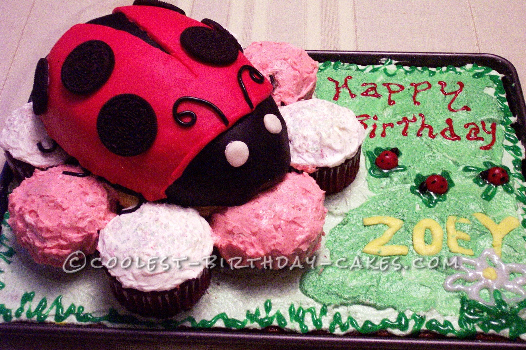 Homemade Ladybug 1st Birthday Cake