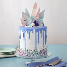 Wilton Cake Decorating Ideas Birthday