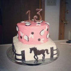 10 Photos of Horse Birthday Cakes For Teens