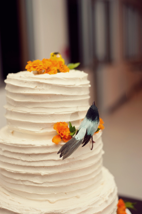 Publix Buttercream Wedding Cakes