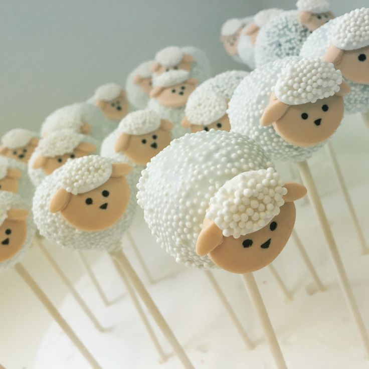 Sheep Cake Pops