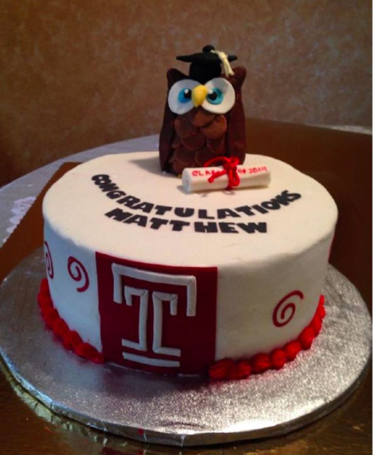 Temple University Graduation Cakes Owls