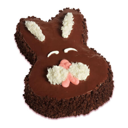 Carvel Bunny Ice Cream Cake