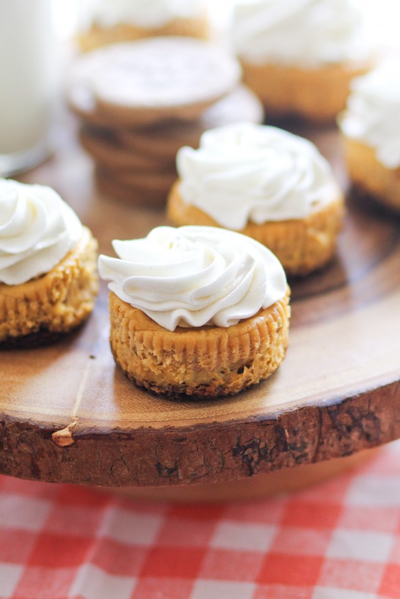 Mini Pumpkin Cheesecakes