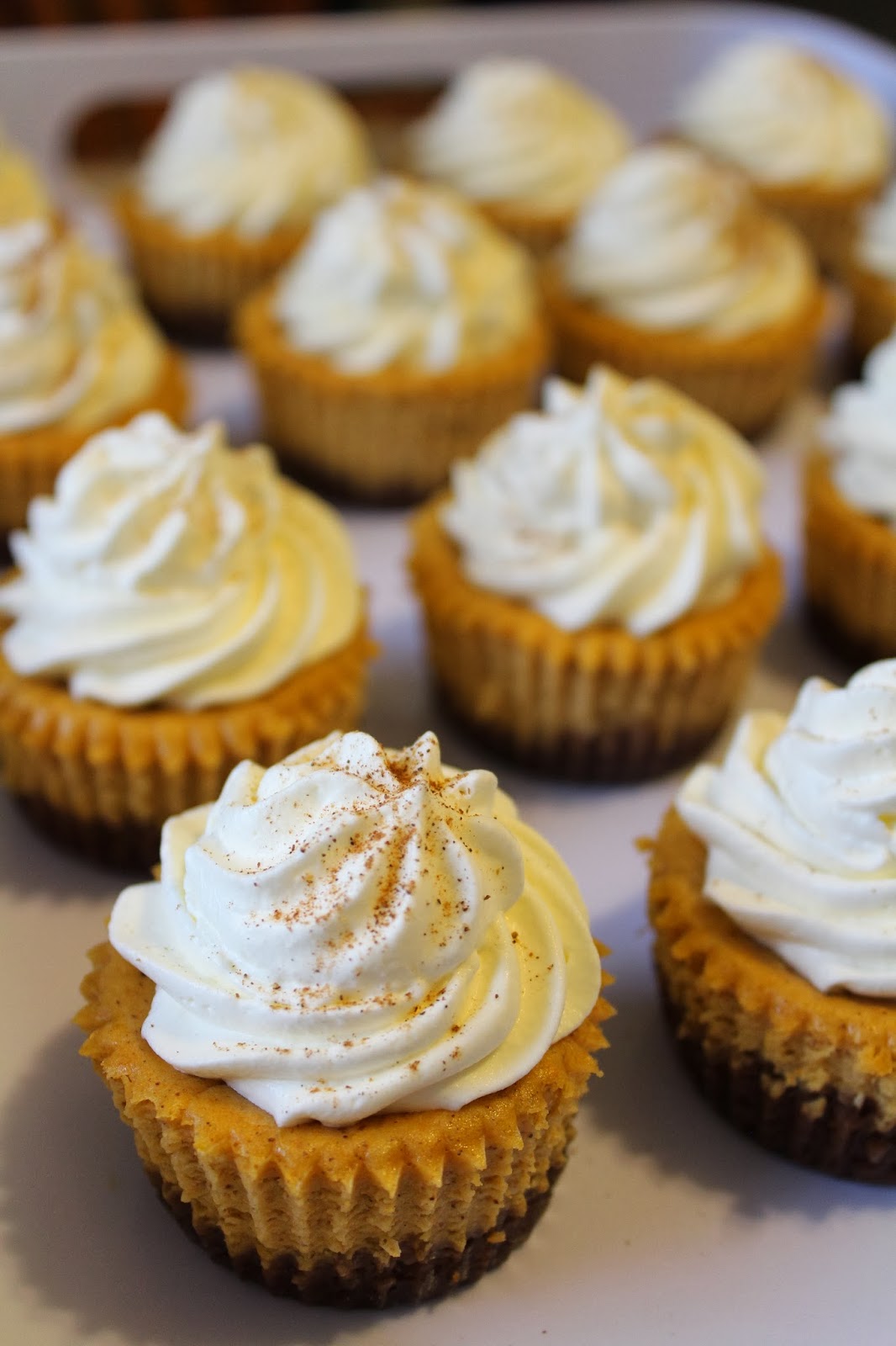 Pumpkin Cheesecake Cupcakes