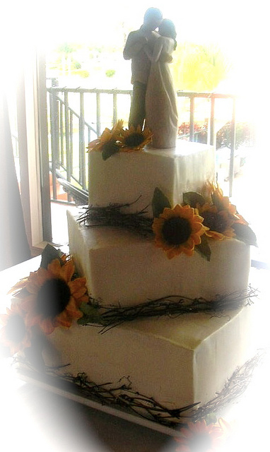 9 Photos of Square Rustic Cakes