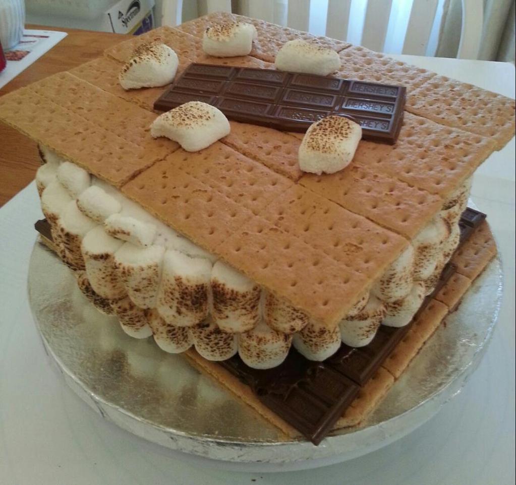 8 Photos of Smore Shaped Cakes