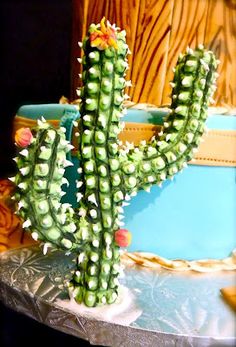 Cactus Cake Wild West