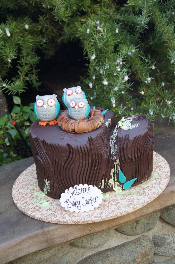 Owl Baby Shower Cake