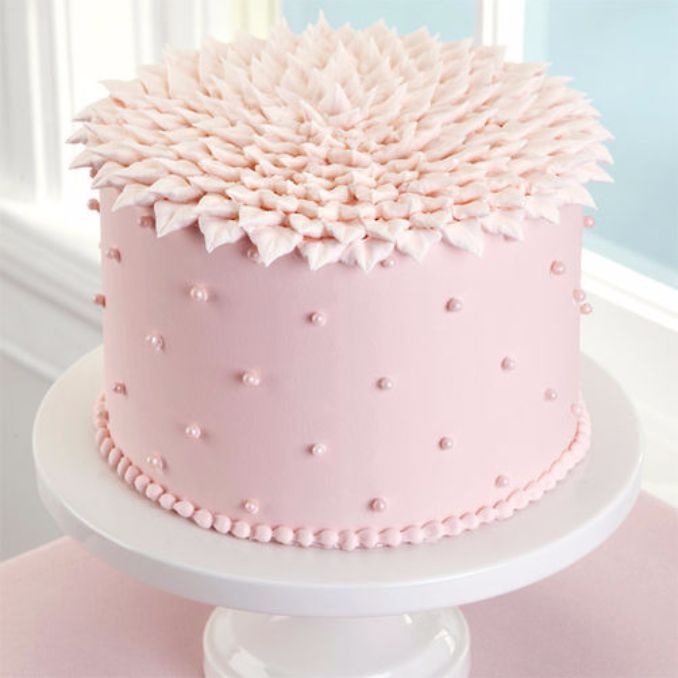 Wilton Cake Decorating Ideas Birthday