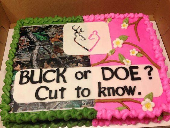 Buck or Doe Gender Reveal Party Ideas