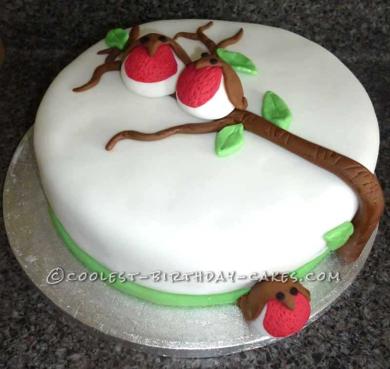 Christmas Birthday Cake Ideas