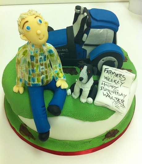 Farmer Birthday Cake