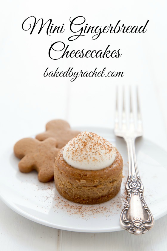 Gingerbread Mini Cheesecakes