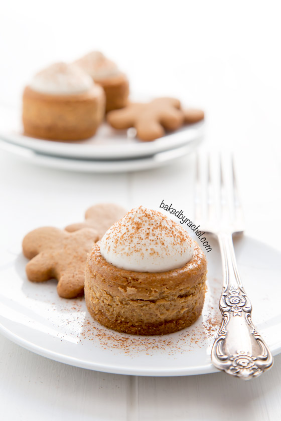 10 Photos of Mini Gingerbread Cheesecakes