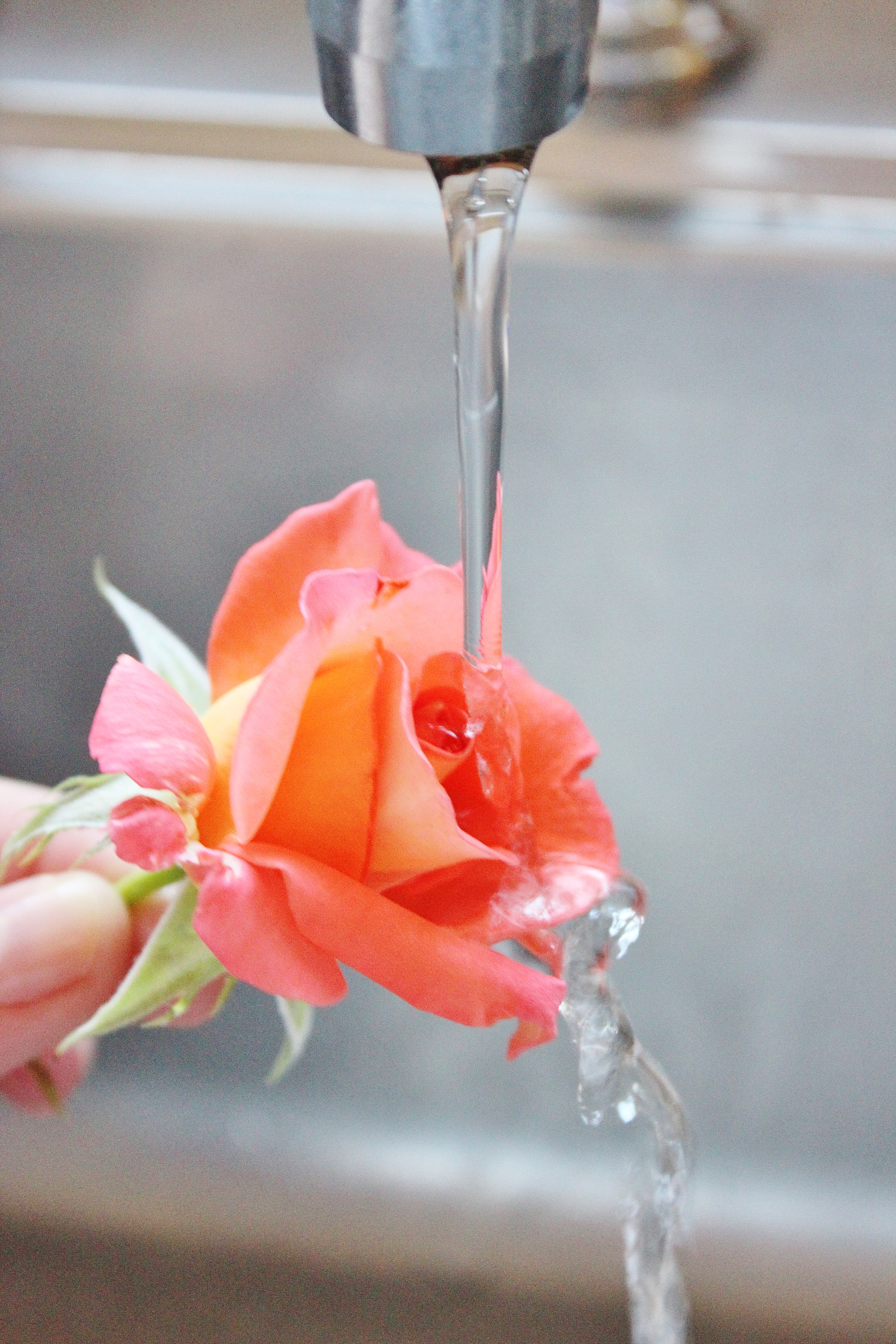 How to Put On Wedding Cake Fresh Flowers