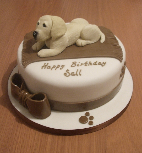 Labrador Puppy Birthday Cake