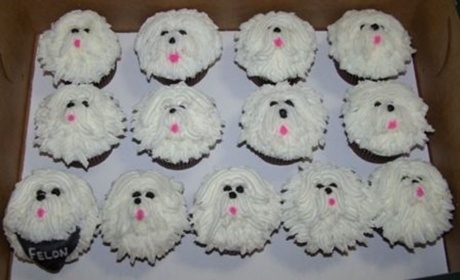 Maltese Dog Cake