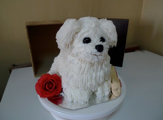 Maltese Dog Cake