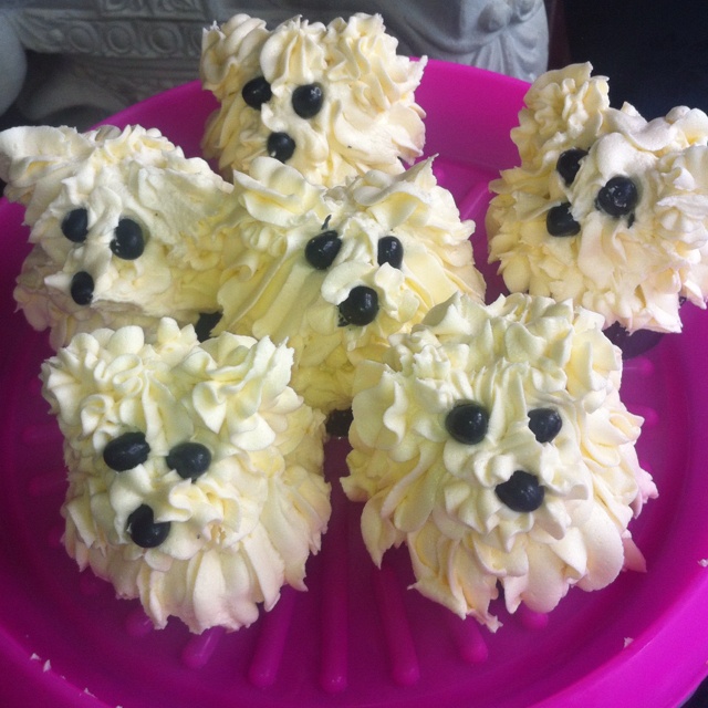 Maltese Terrier Cupcakes