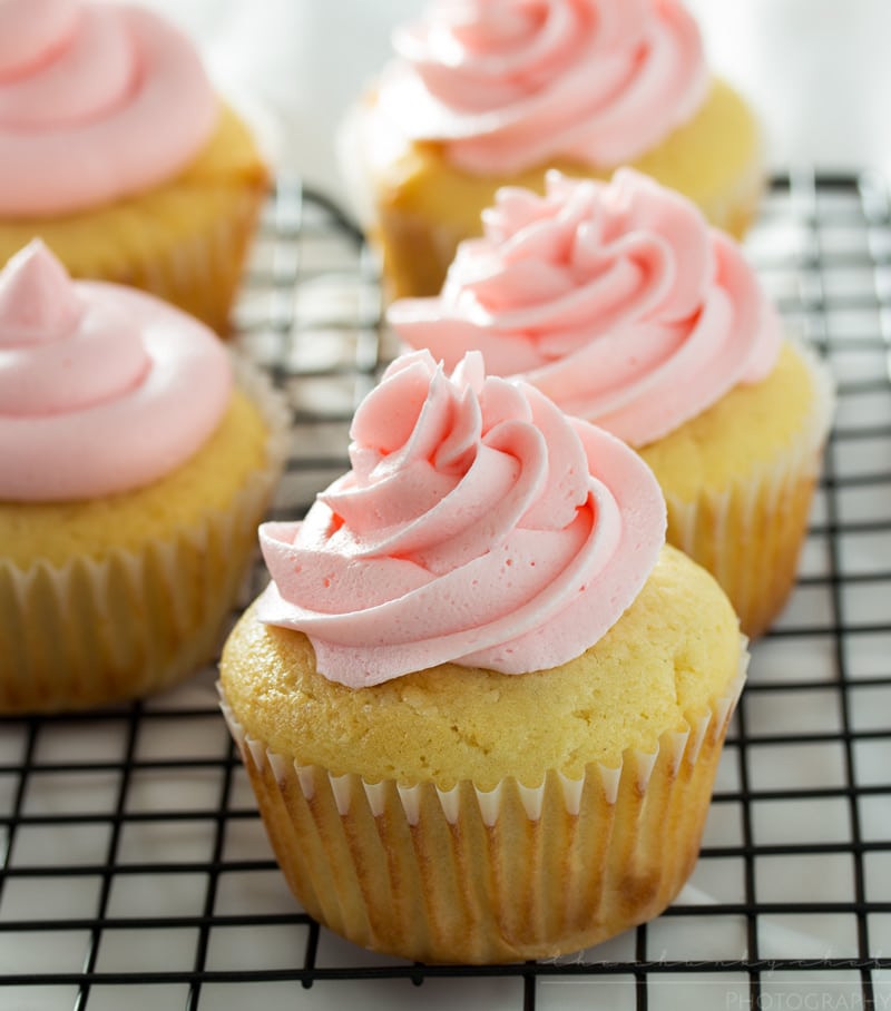 Peppermint Chocolate Cupcakes with Buttercream