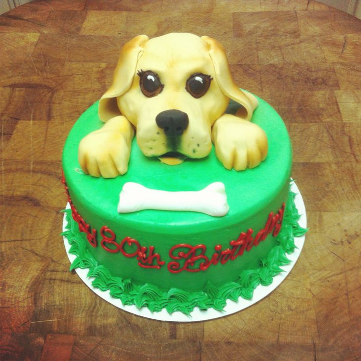 Yellow Lab Birthday Cake