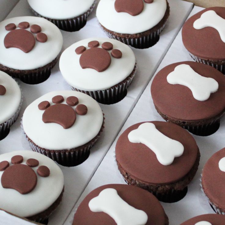 Dog Themed Cupcakes