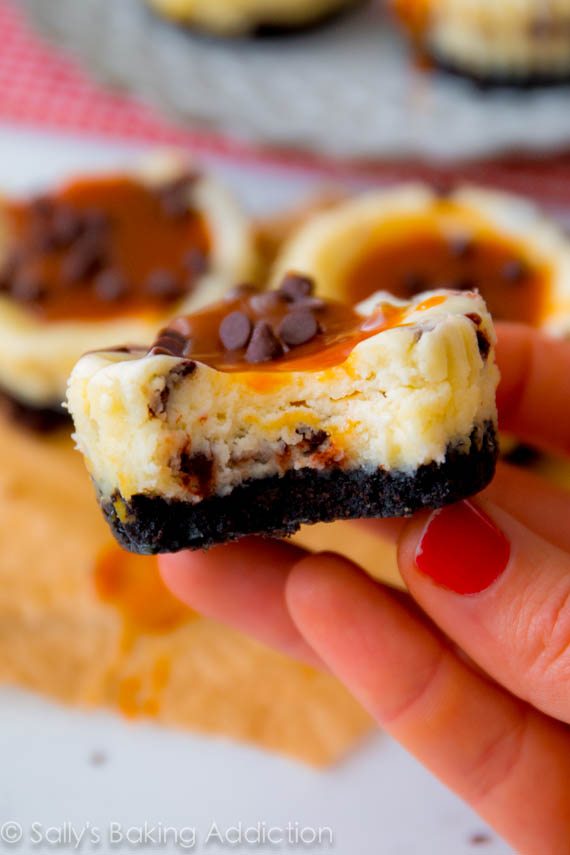 Mini Cheesecake with Salted Caramel Chocolate Chip