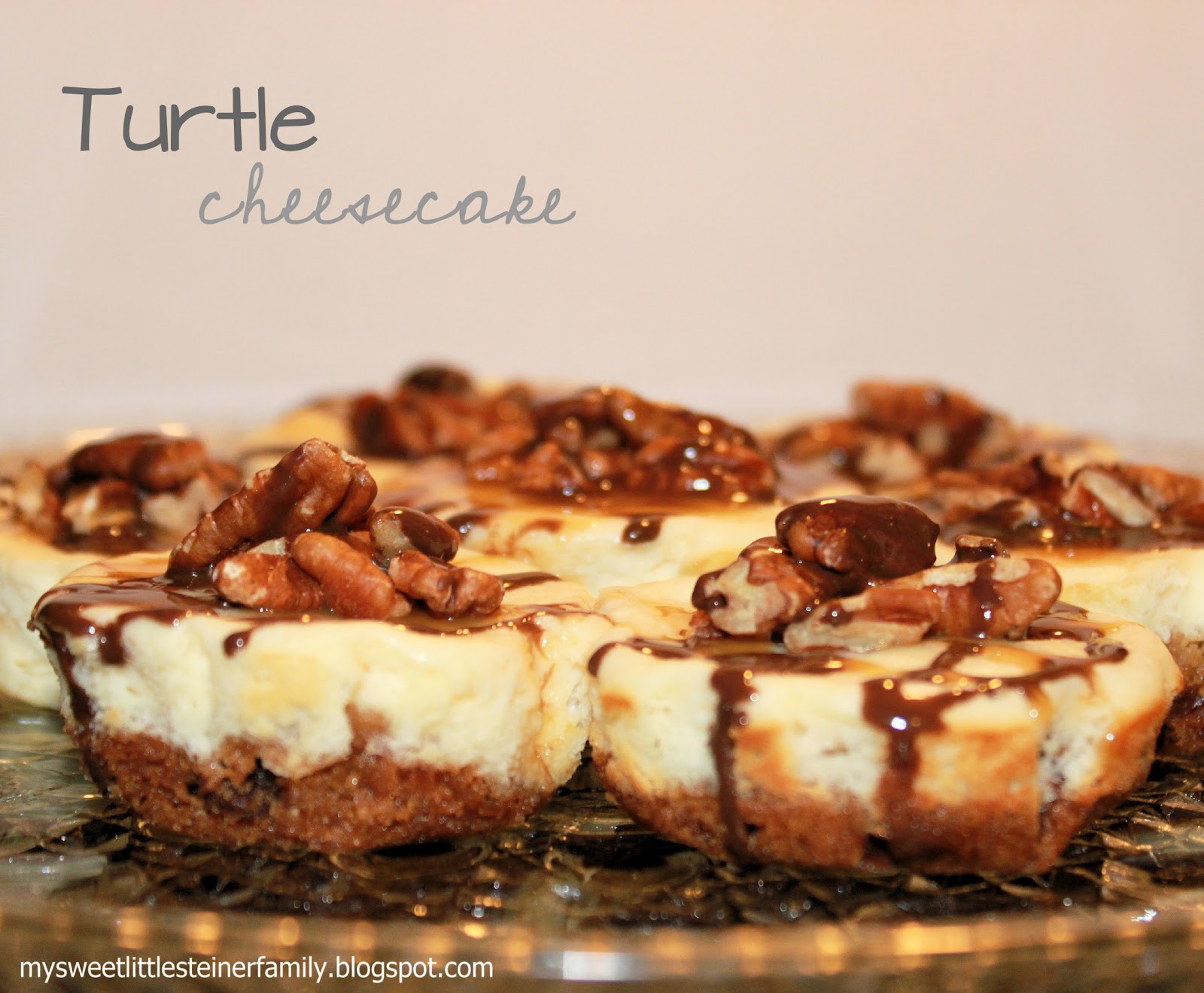 Nestle Mini Turtle Cheesecakes