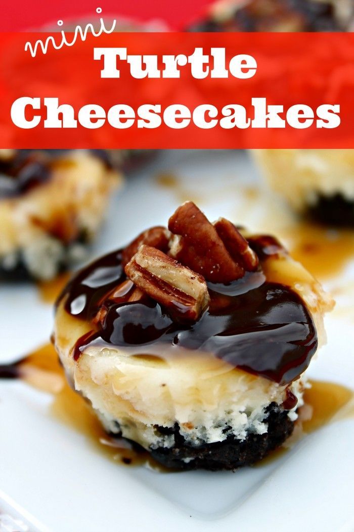 Turtle Mini Cheesecakes Recipe