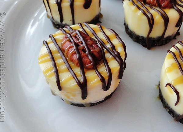 Turtle Mini Cheesecakes Recipe