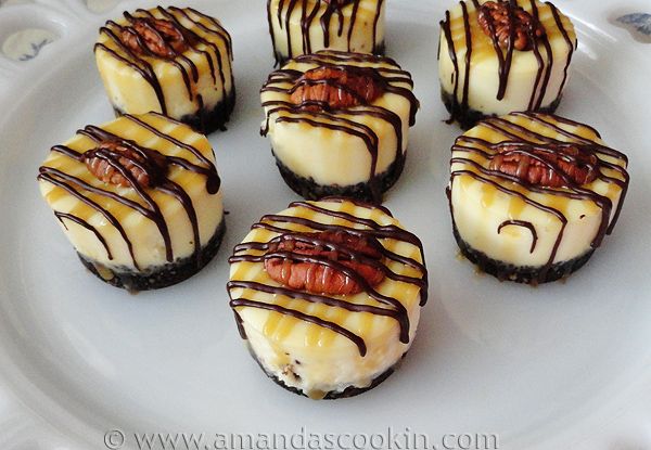 Turtle Mini Cheesecakes Recipe