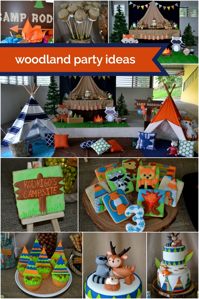 Camping Birthday Party Ideas for Boys