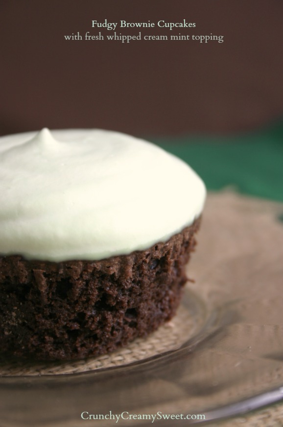 Cupcake with Whipped Cream