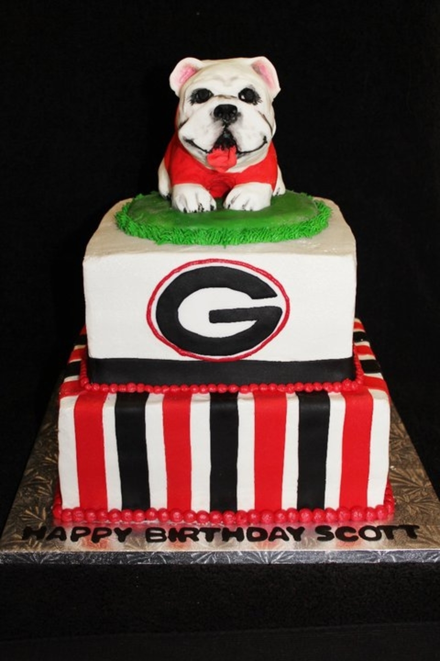 Georgia Bulldogs Birthday Cake