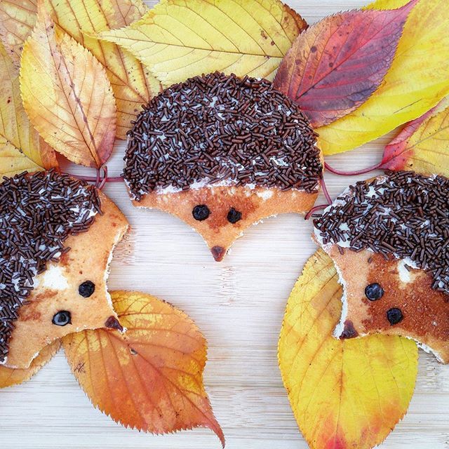 Hedgehog Eating Donut