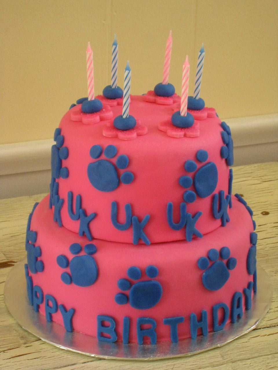 Kentucky Wildcat Birthday Cake