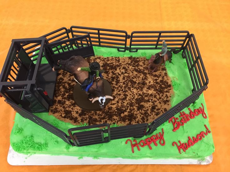 Bull Rider Birthday Cake