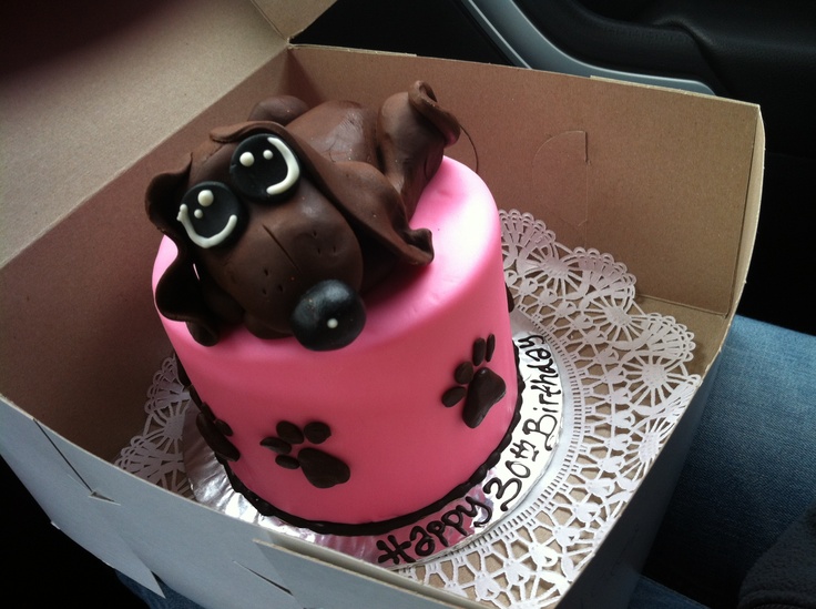 Dachshund Cake