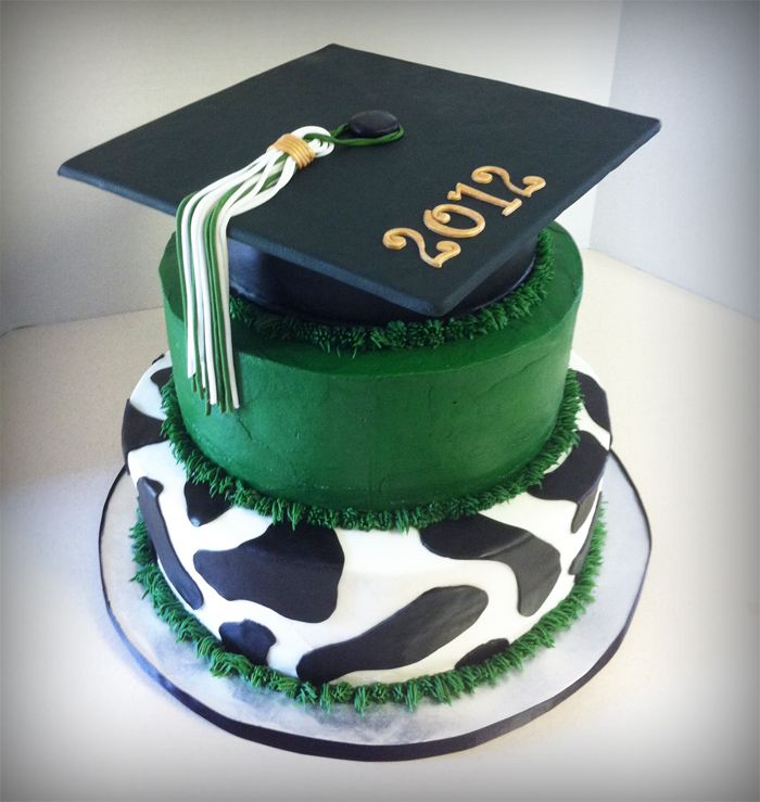 Graduation Style Cakes