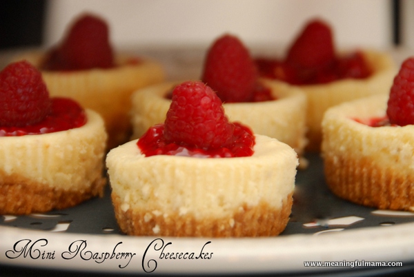 Mini Cheesecake with Nilla Wafers Recipe