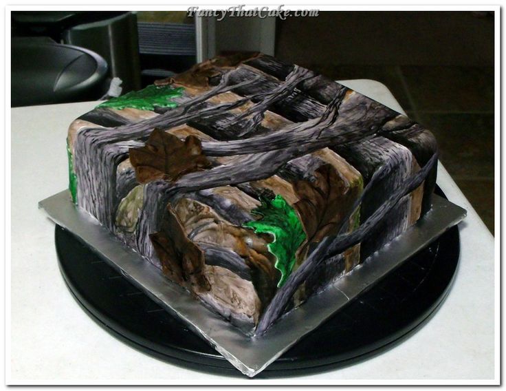 11 Photos of Realtree Camo Groom Cakes